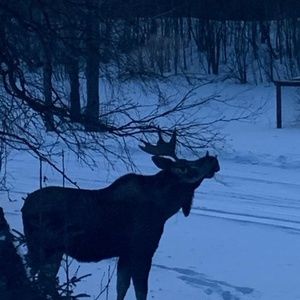 Meet your Posher, Rella